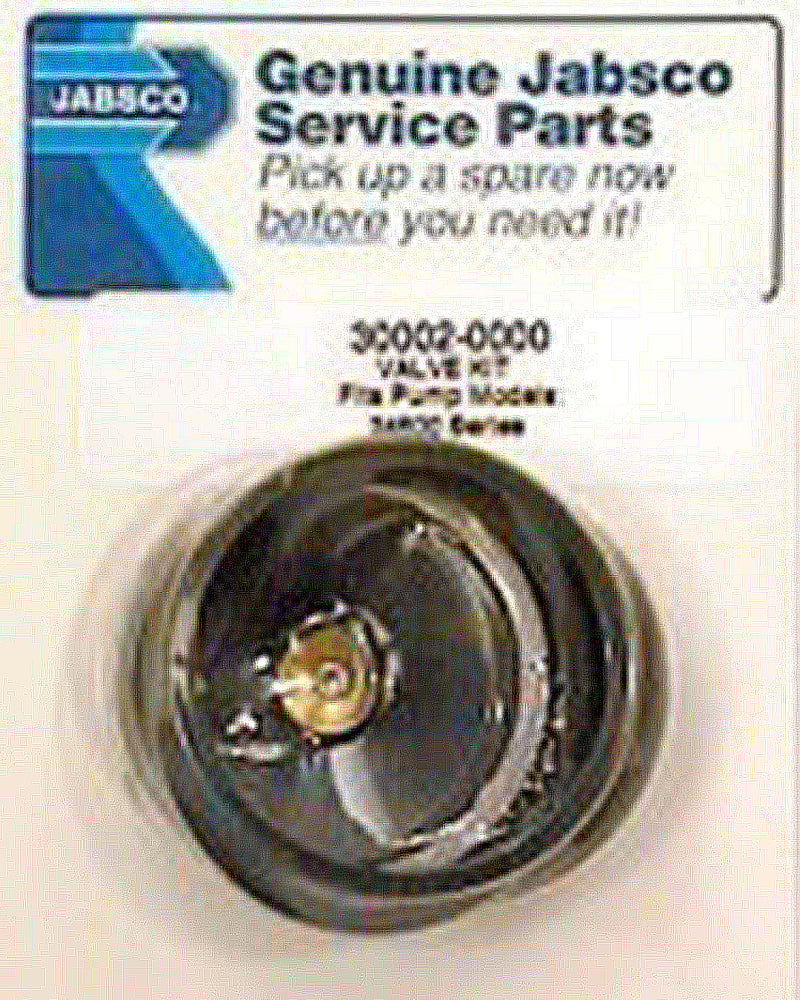 Itt Jabsco Valve Kit 2 1 4 Diameter 30002 0000