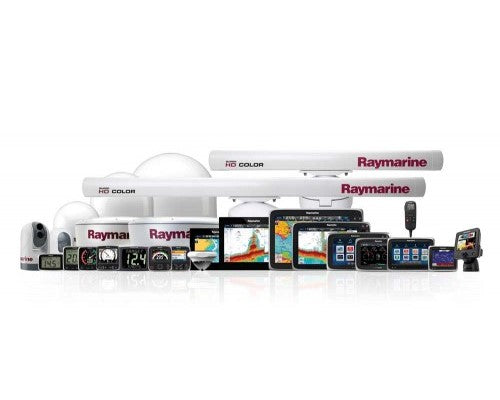 RayMarine CPT-100DVS Transom Mount Transducer