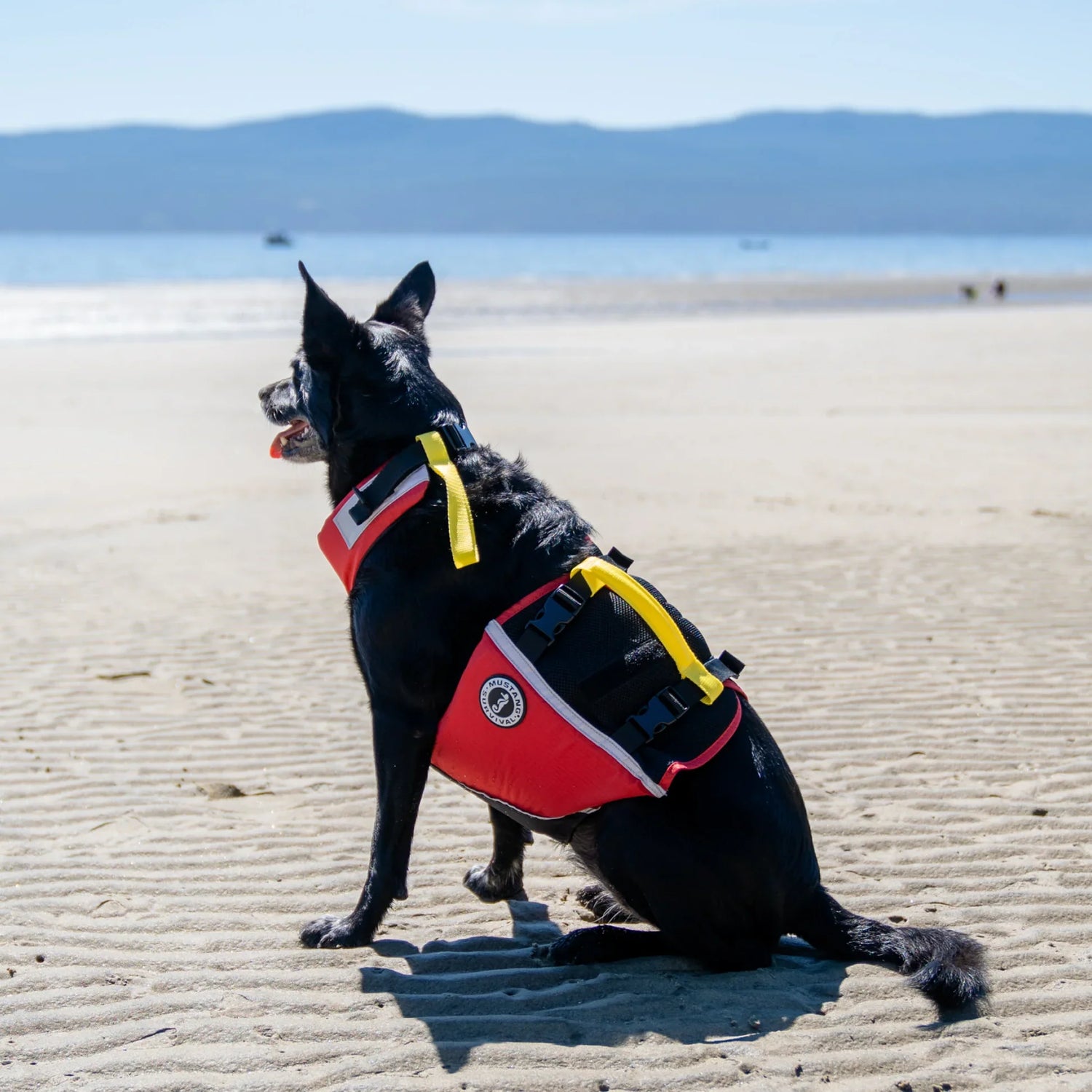 Pet Flotation Vest - Steveston Marine and Hardware