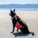 Pet Flotation Vest