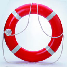 Horseshoe Buoys and Ring Buoys