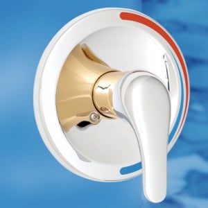 Ambassador Marine Shower Mixer Chrome And Gold