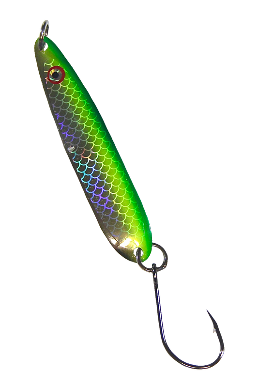 Gibbs Skinny G Bon Chovy - Nickel Scale