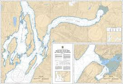 Chart 3920 - Nass Bay, Alice Arm and Approaches/et les approches - Steveston Marine and Hardware