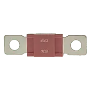 Blue Sea Systems AMGÃ‚Â® Fuse - 250 Amp - 5107 - Steveston Marine and Hardware