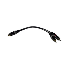Raymarine CP470/CP570 Dual CHIRP Transducer Y Cable
