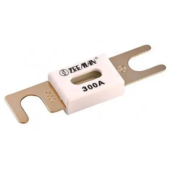 Victron ANL-fuse 300A/80V (package of 5 pcs) - CIP143300020