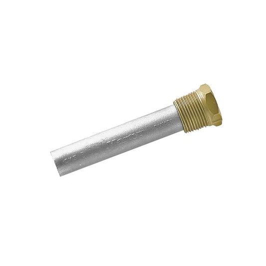 CMP Global 1/2 Npt Brass Plug Only