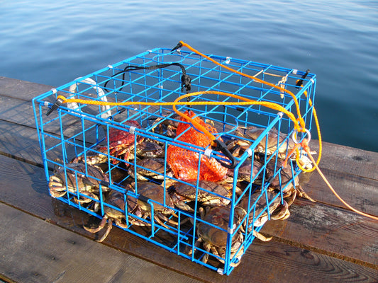 Brons 24" Collapsible Crab Trap Folding - CT002S