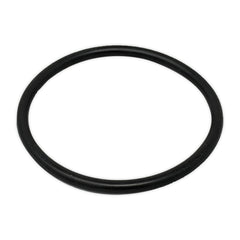 Buck Algonquin Pipe Deck Plate 1 - 1/4 O - Ring - Steveston Marine and Hardware