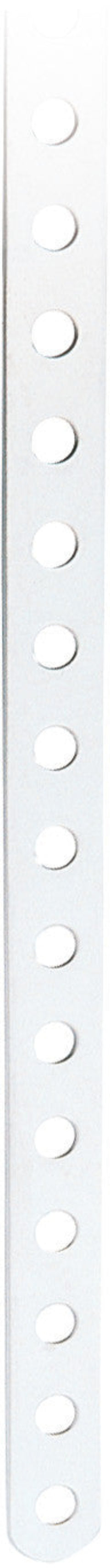 Chain Plate,Holy Strp 3'. 915X14mm = 36X9/32"
