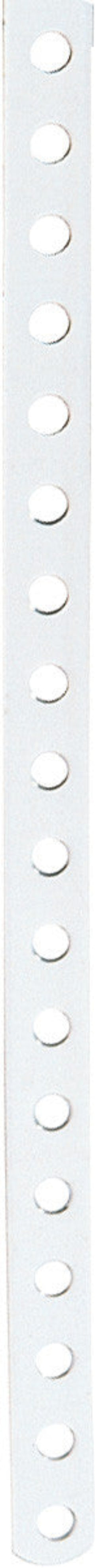 Chain Plate,Holy Strp 3'. 915X12.5mm = 36X1/2"#