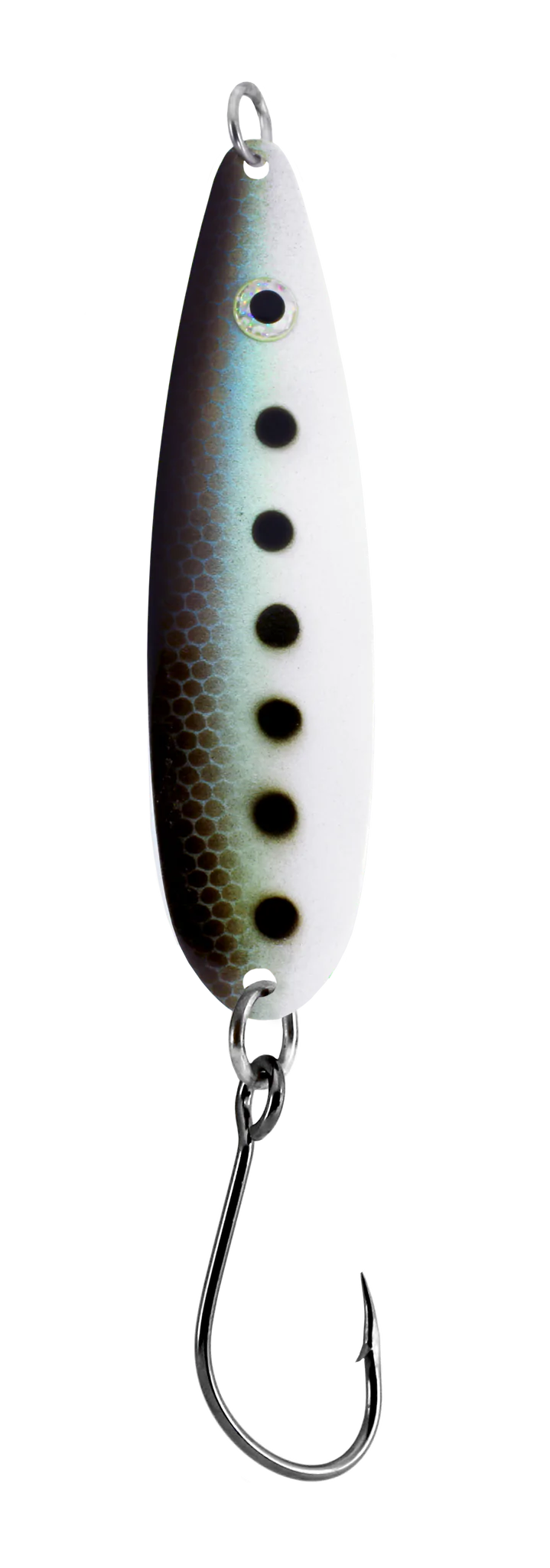 Gibbs G-Force 40 Sardine