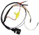 CDI Wiring Harness-Brp# 391818