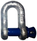 CMP Global Shackle D Anchor Galv 7 16In