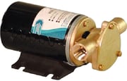 ITT Jabsco 12V Vane Puppy Pump
