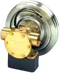 Johnson Pump Johnson F8B/F9B Wearplate - Steveston Marine and Hardware