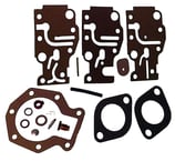 Sierra Carb Kit Omc 439073