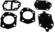 Sierra P Fuel Pump Kit 55 2500