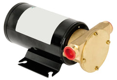 Ballast Maxi Transfer Pump Brass 45 Lpm 12v - Steveston Marine and Hardware