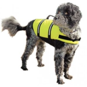 Pet Vests and Toys
