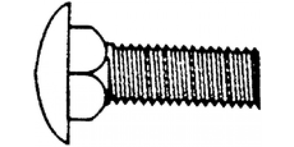 Eastern Fastener 1/4-20X2 Carriage Bolt Ss @50