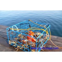 Brons 24" Collapsible Crab Trap Folding CT002S