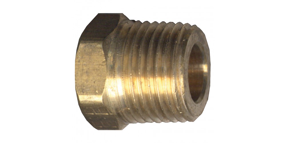 Fairview Plug Brass 3/8 Hex Head Cored