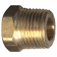 Fairview Plug Brass 1/2 Hex Head Cored