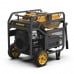 Firman Gas Portable Generator Performance Series 12000W - P12002